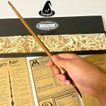 چوبدستی نیکولاس فلامل با جعبه