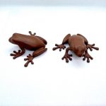 شکلات قورباغه ای هری پاتر همراه قورباغه