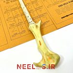 چوبدستی لرد ولدمورت (PVC)