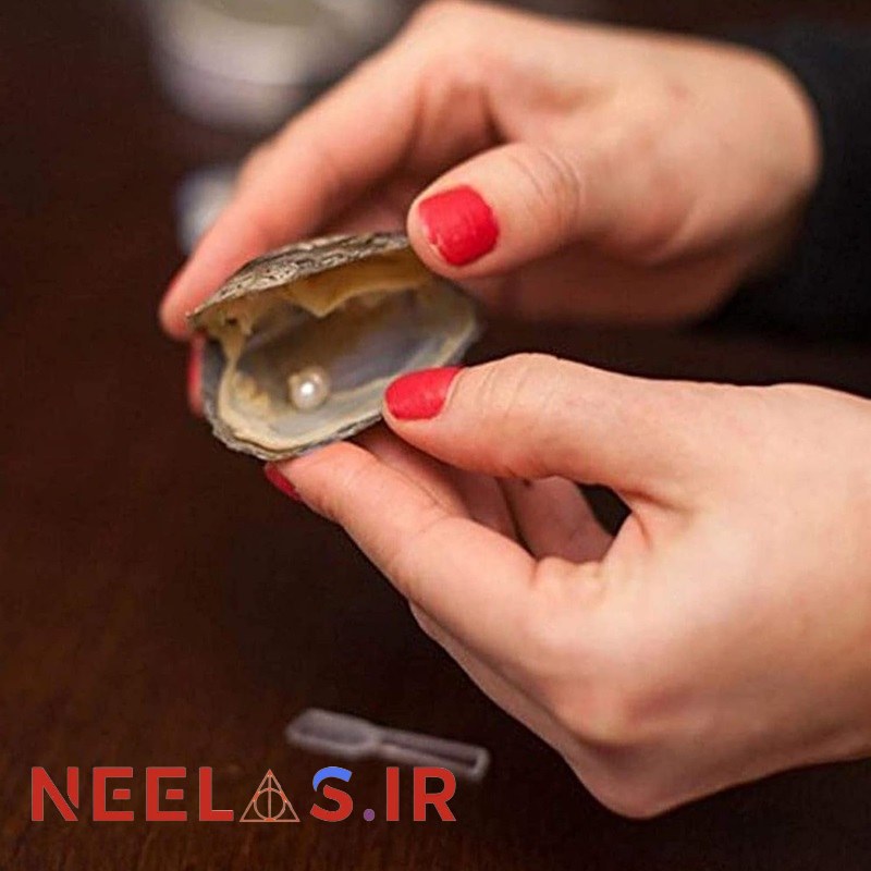 گردنبند مروارید کنسرو صدف